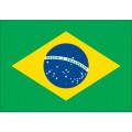 Reprezentacja Brazylii