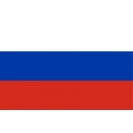 Reprezentacja Rosji