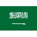 Reprezentacja Arabii Saudyjskiej