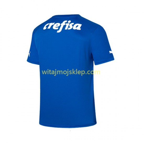 Koszulka Palmeiras Bramkarskie Męska Stroje Domowe 2023-2024 Krótkie Rękawy