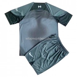 Koszulka Liverpool Dziecięca Stroje Wyjazdowe 2022-2023 Krótkie Rękawy