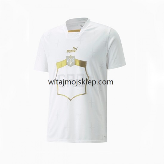 Koszulka Reprezentacja Serbii Męska Stroje Wyjazdowe World Cup 2022 Krótkie Rękawy