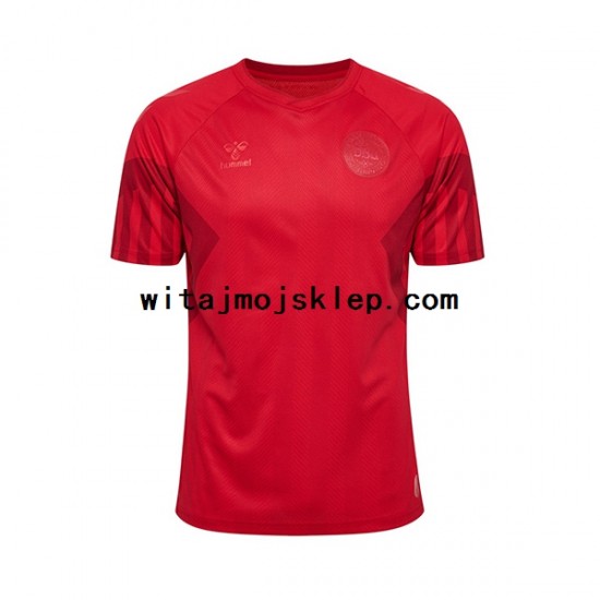 Koszulka Reprezentacja Danii Męska Stroje Domowe World Cup 2022 Krótkie Rękawy