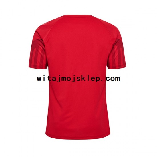 Koszulka Reprezentacja Danii Męska Stroje Domowe World Cup 2022 Krótkie Rękawy