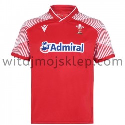 Koszulka Reprezentacja Walii w Rugby 7S Stroje Domowe 2020-2021 Krótkie Rękawy